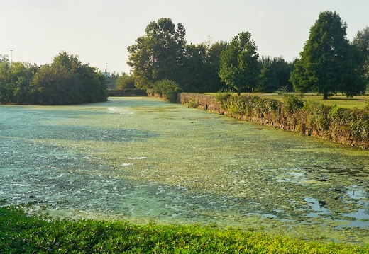 Cold Stream Spring